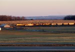 Pastoral panorama